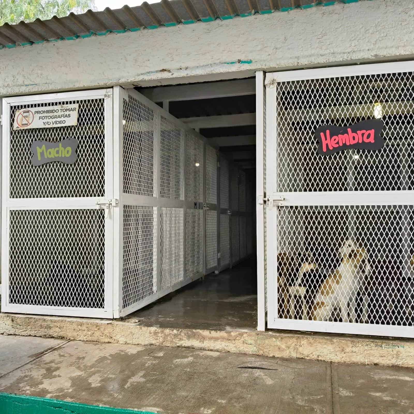 Mejoras en el Centro de Atención Animal Saltillo: Emmanuel Olache detalla cambios