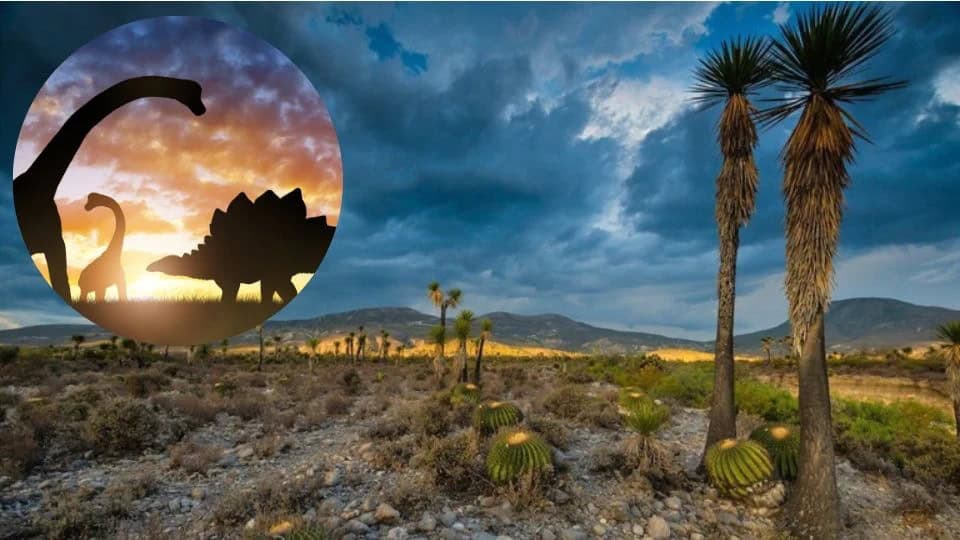 Confirman hallazgo de huellas de dinosaurios en Puebla