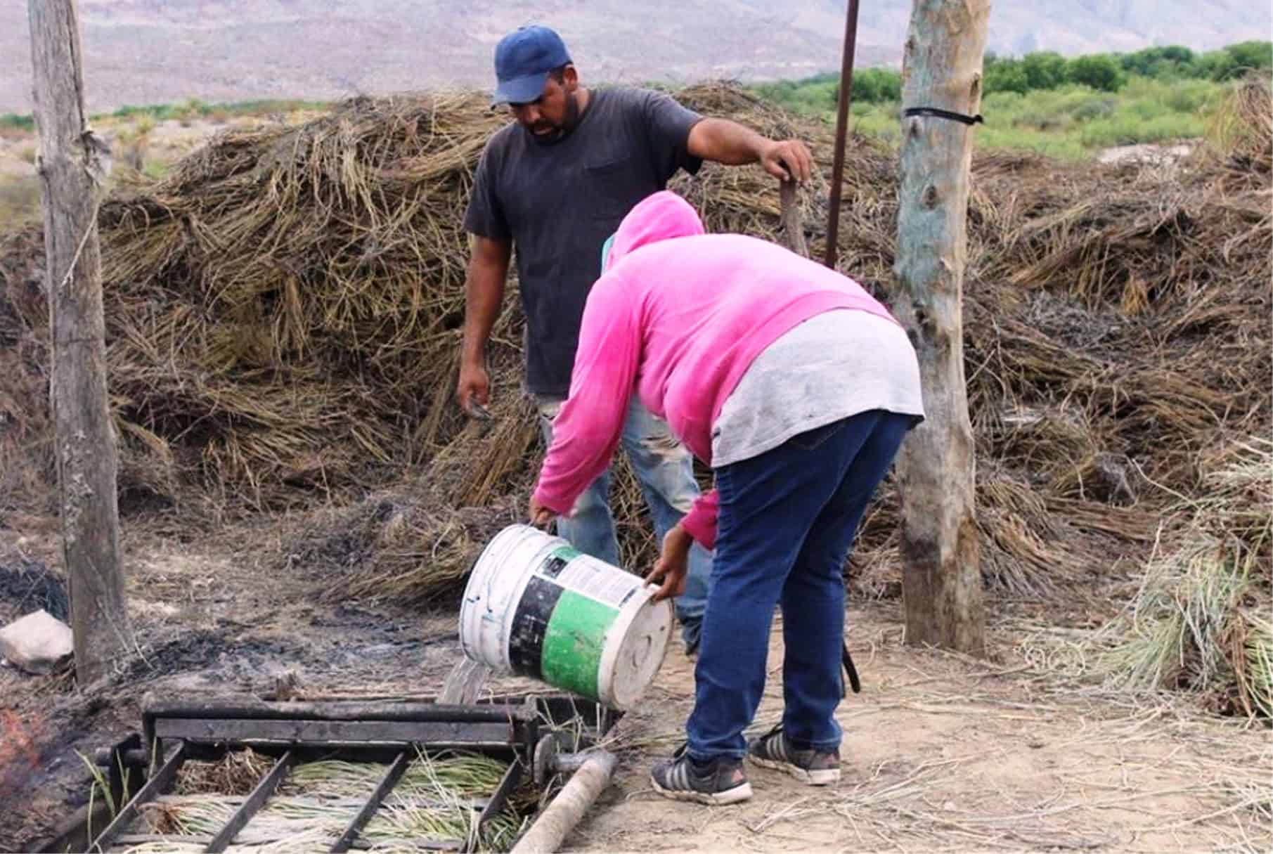 Candelilleros de Ramos Arizpe enfrentan crisis por caída en ventas