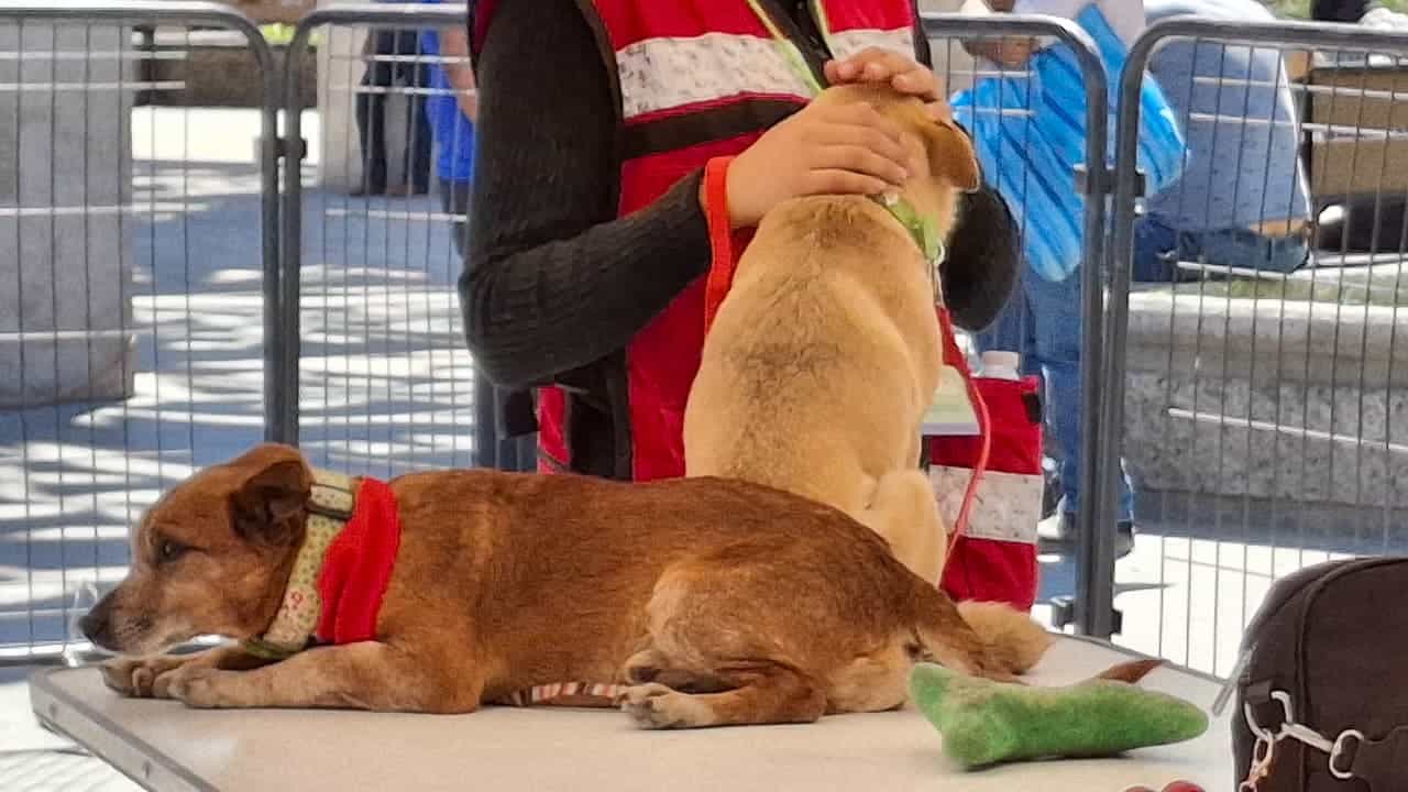Martín Gómez advierte sobre el uso de pirotecnia en Monclova