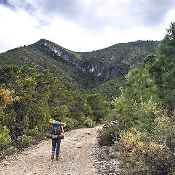 Arteaga: Profepa clausura fraccionamiento y Acueducto 1000 por da&ntilde;os ambientales