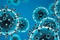 Confirman primer caso de supergripe H3N2 en México: Secretaría de Salud