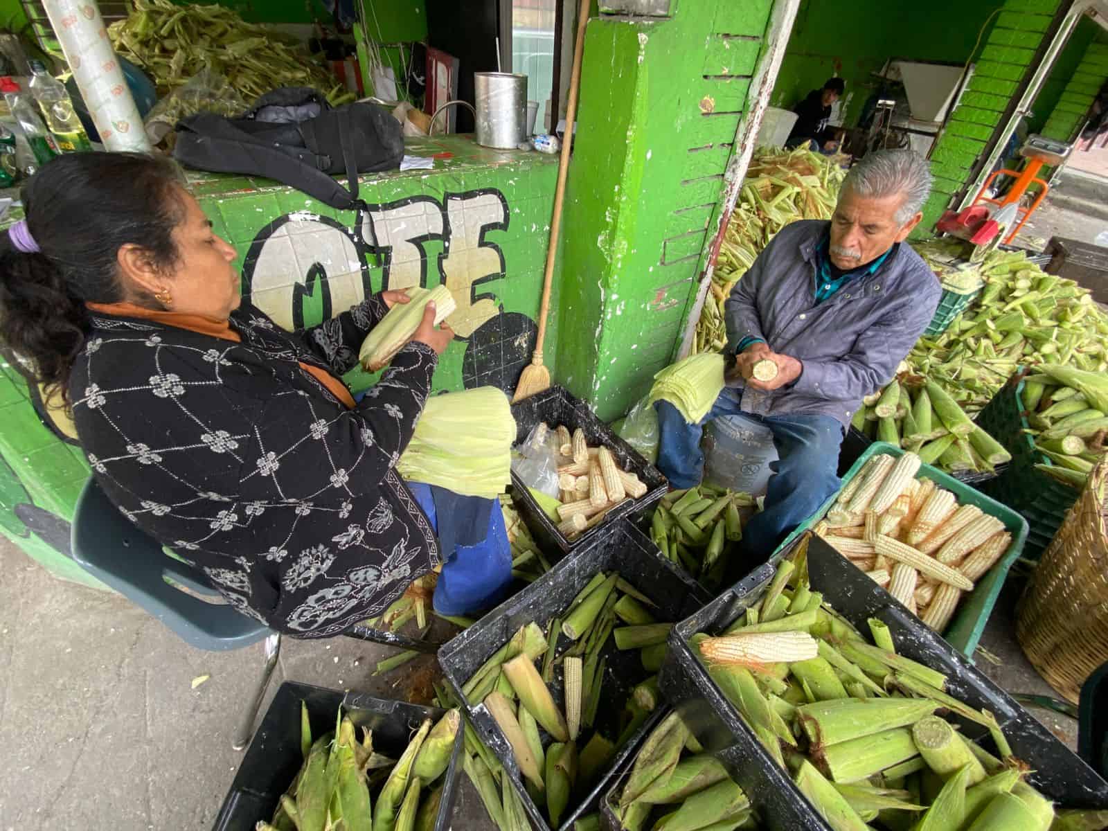 Antonio Cuevas y su familia producen elote para tamales en San Pedro