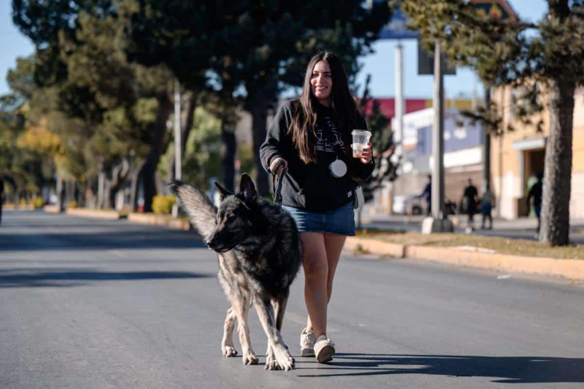 Familias disfrutan de Ruta Recreativa