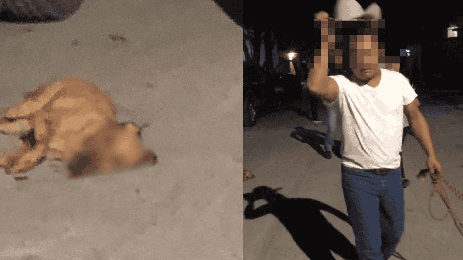 Maltrato animal en Melchor M&uacute;zquiz: Juan N. golpea a perrita