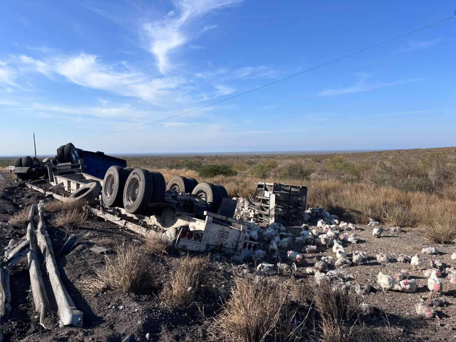 Miguel V&aacute;zquez sufre volcadura de tr&aacute;iler con gallinas en Sabinas