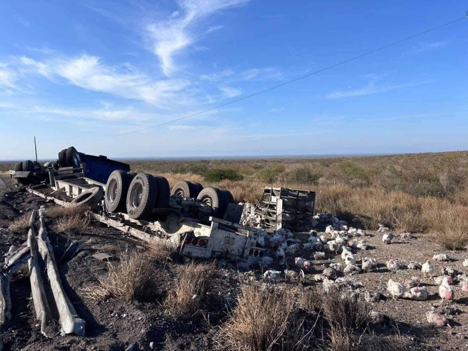 Volcadura de tr&aacute;iler con gallinas provoca tr&aacute;nsito lento en la carretera 57