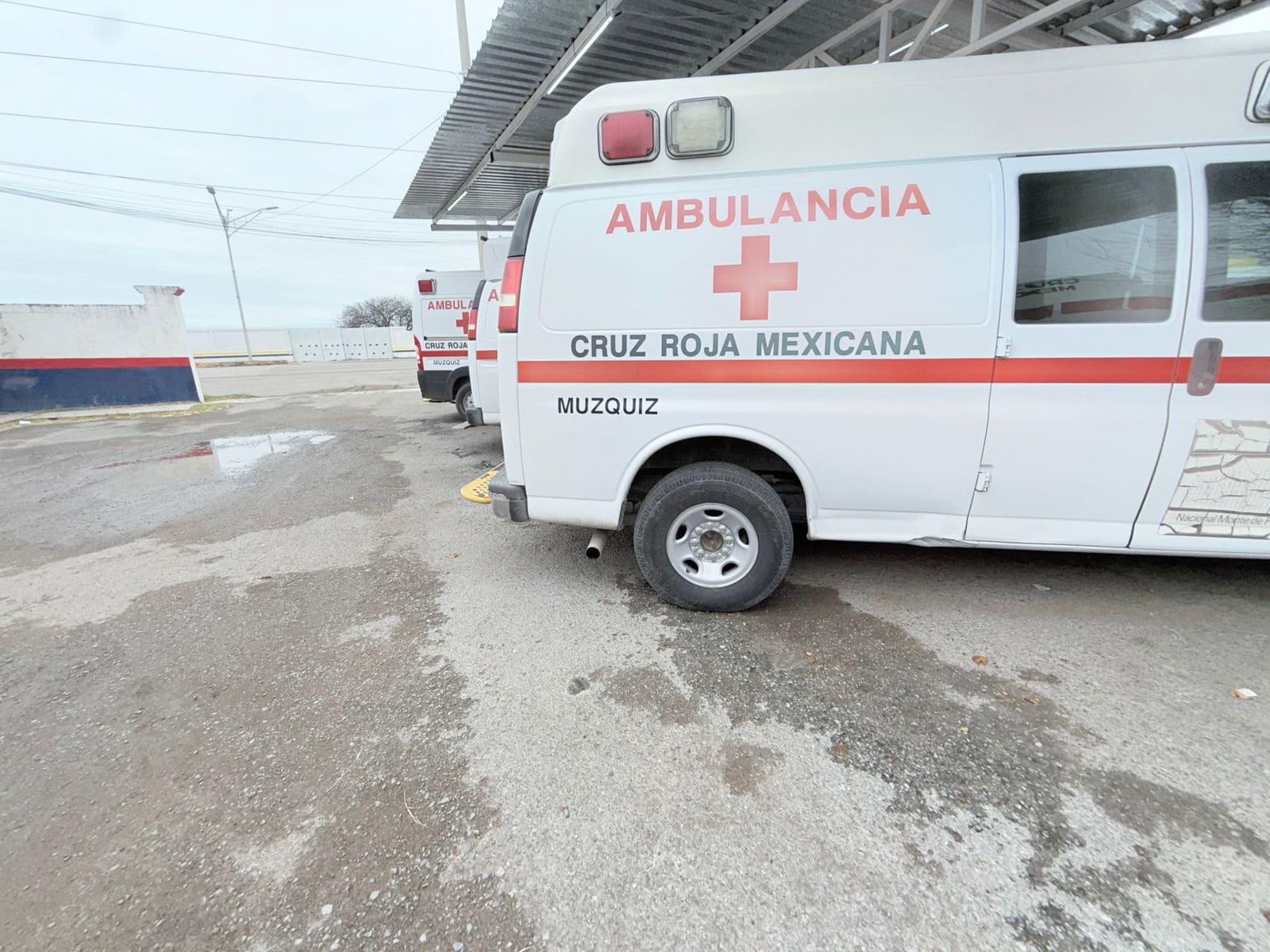 Silvia Contreras Daniel advierte sobre neumon&iacute;a en adultos mayores