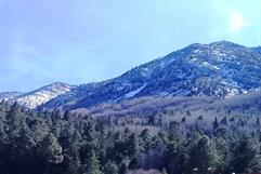 Autoridades reportan saldo blanco en incendios forestales en Sierra de Arteaga