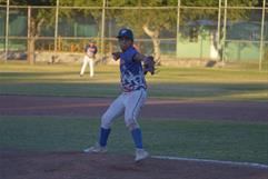 Mets luchan por playoffs en la Liga de Béisbol Furiazul