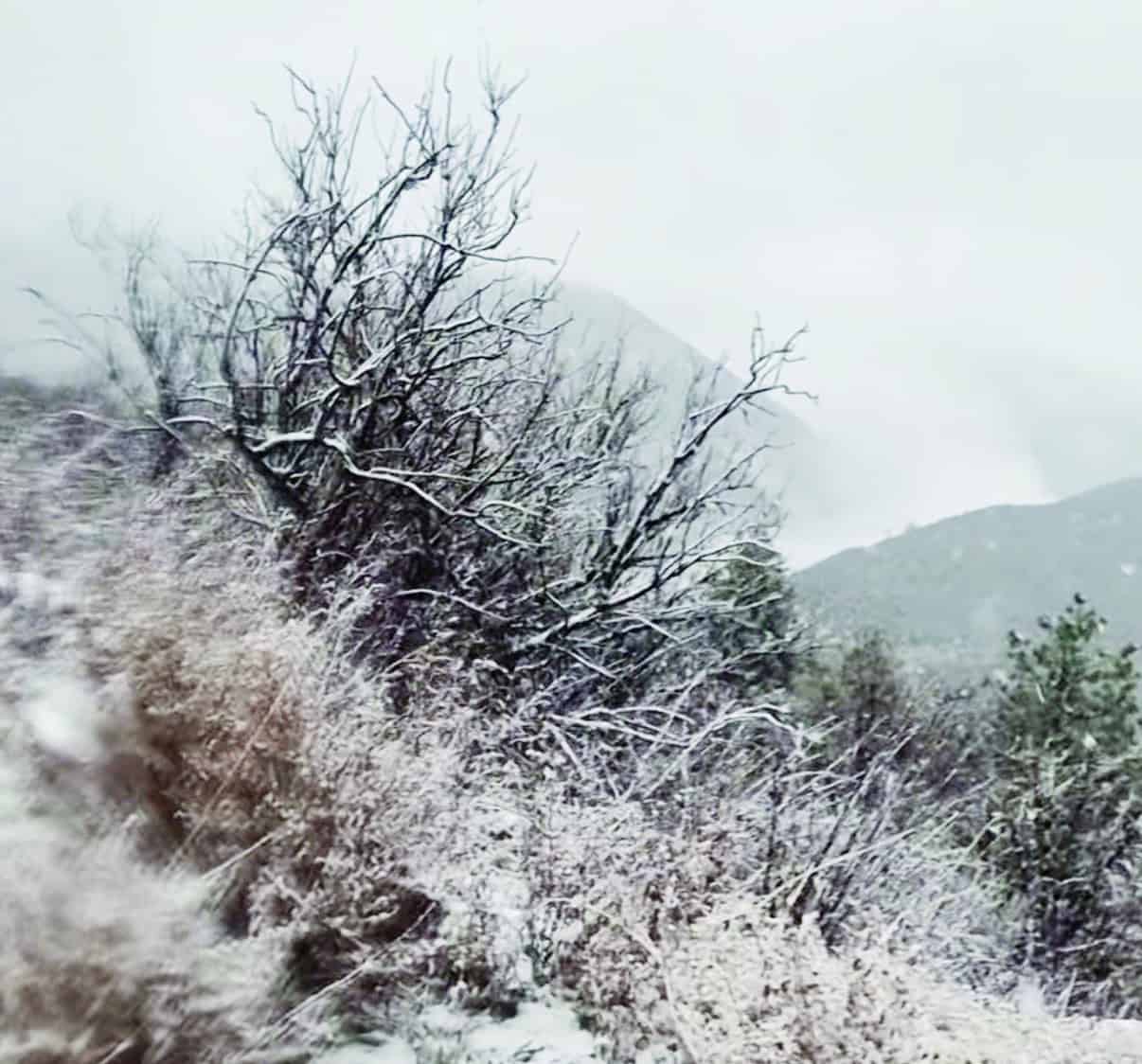 Nieve en Sierra La Martha: senderistas desaf&iacute;an el fr&iacute;o en Coahuila