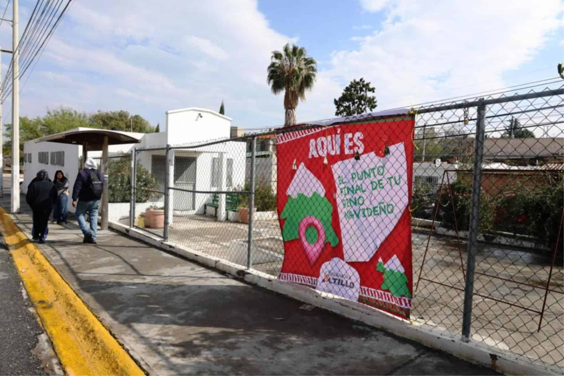 Saltillo implementa 25 centros de acopio para pinos naturales