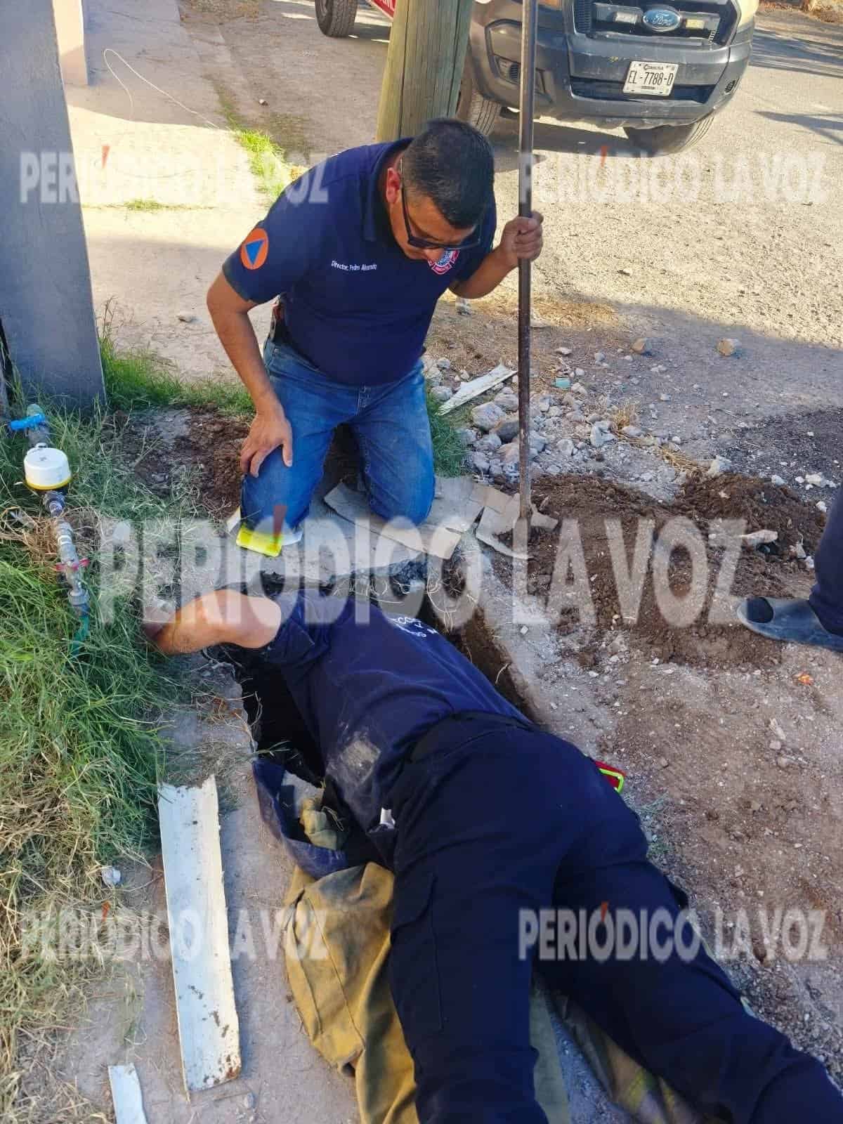 Bomberos rescatan cachorro atrapado en drenaje en Monclova