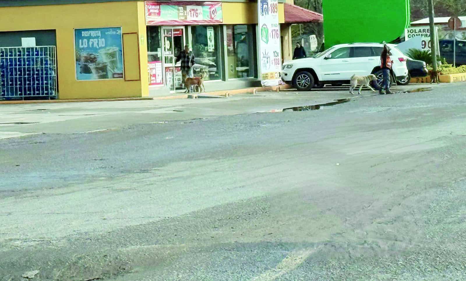 Detienen a V&iacute;ctor Manuel N. por robos en Melchor M&uacute;zquiz