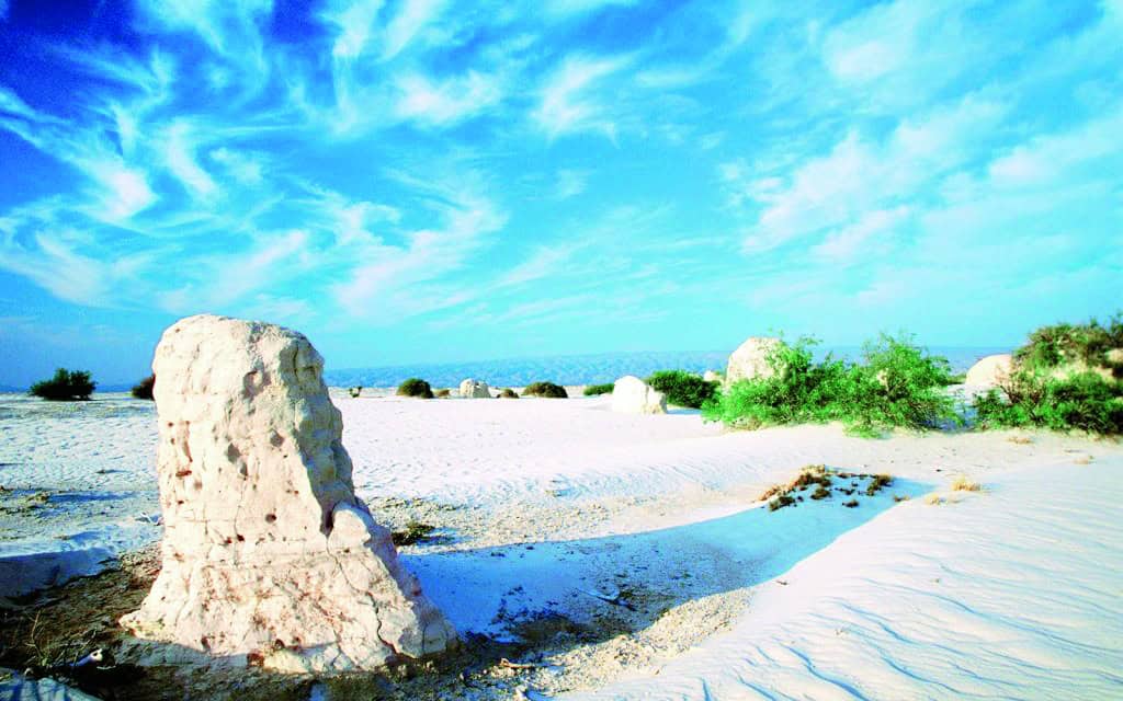 V&iacute;ctor Leija promueve el hermanamiento de Cuatro Ci&eacute;negas con Leiro, Galicia