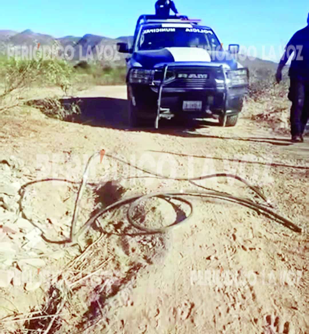 Frustran saqueo a antena de telecomunicaciones en Sacramento: dos detenidos