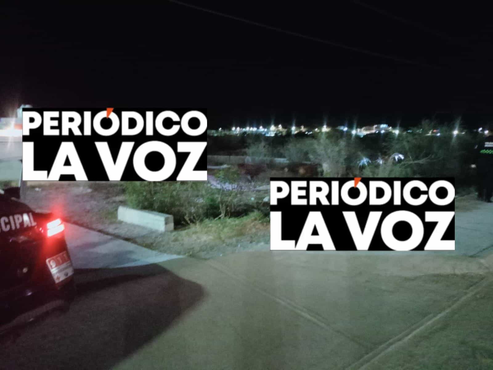 Vacas sueltas en Las Torres causan riesgo de accidente