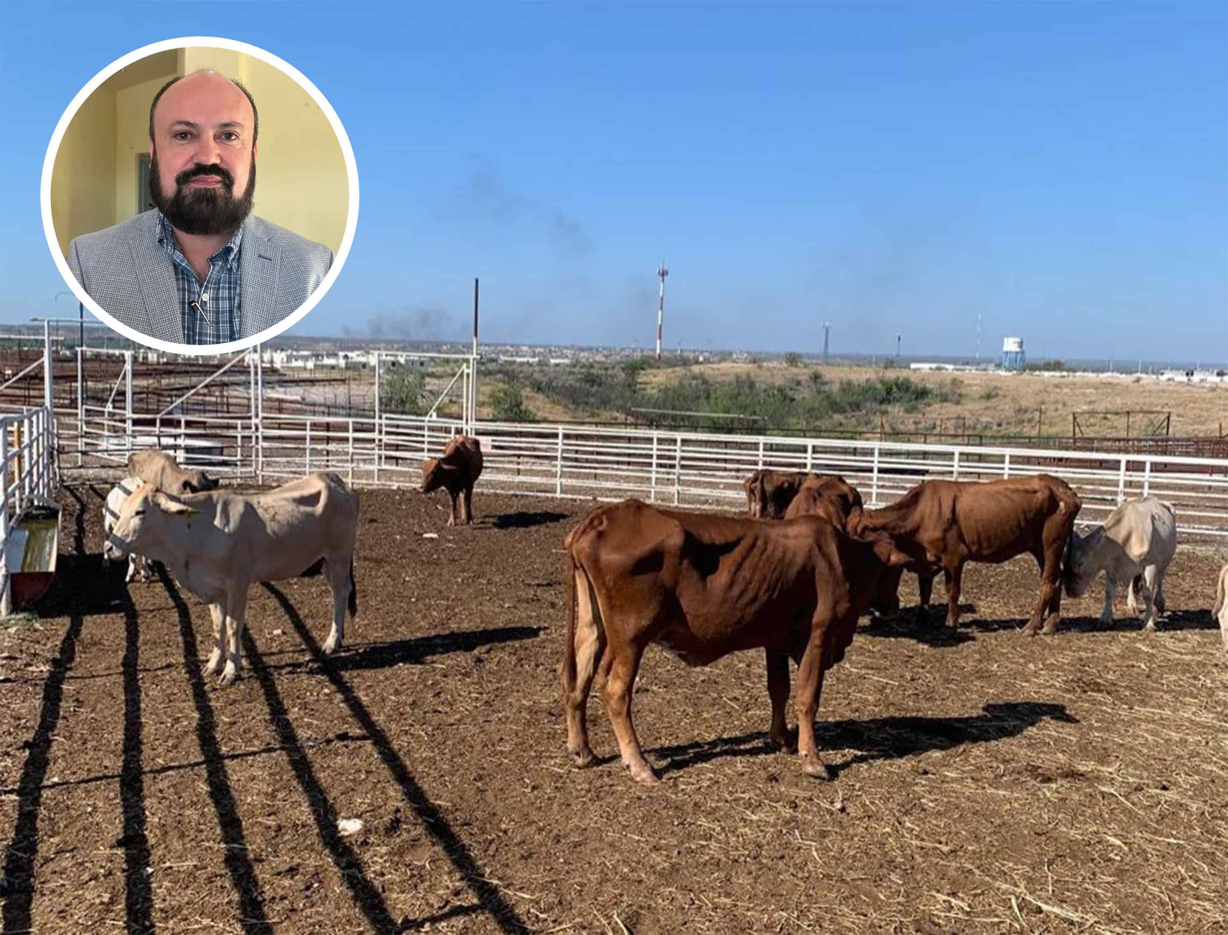 Autoridades y ganaderos refuerzan combate al abigeato en Acu&ntilde;a