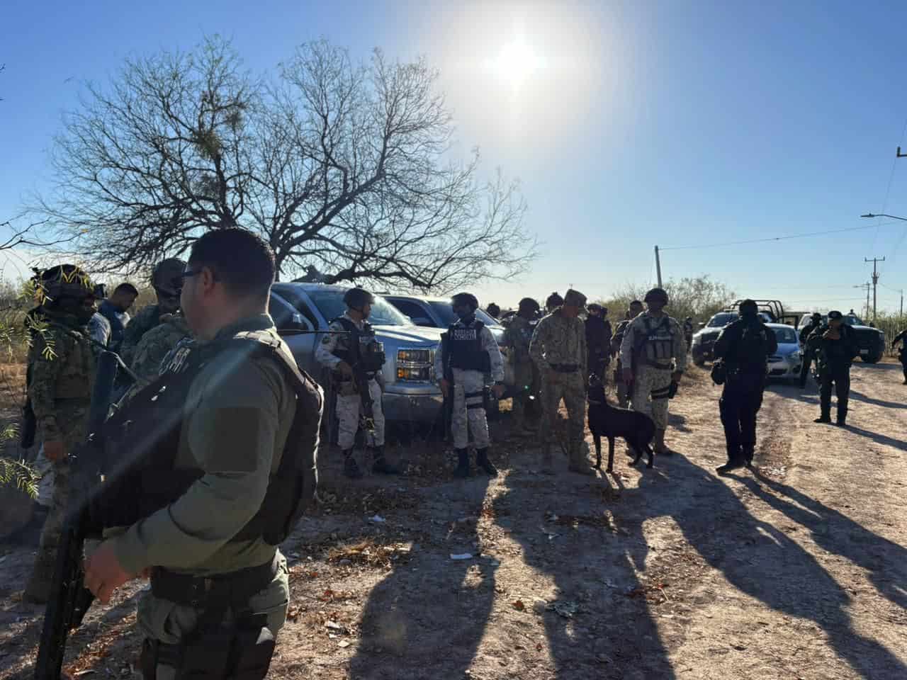 Aseguran casi 30 kilos de marihuana durante cateo en ejido El Centinela