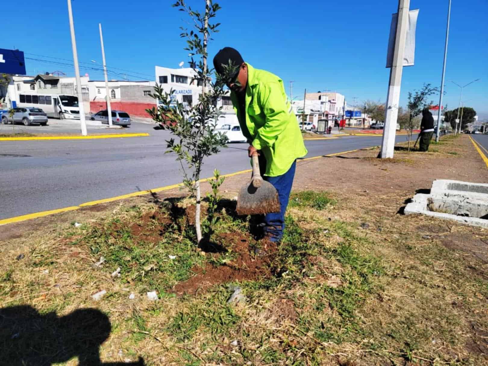 Retiro de publicidad irregular fortalece seguridad en Saltillo