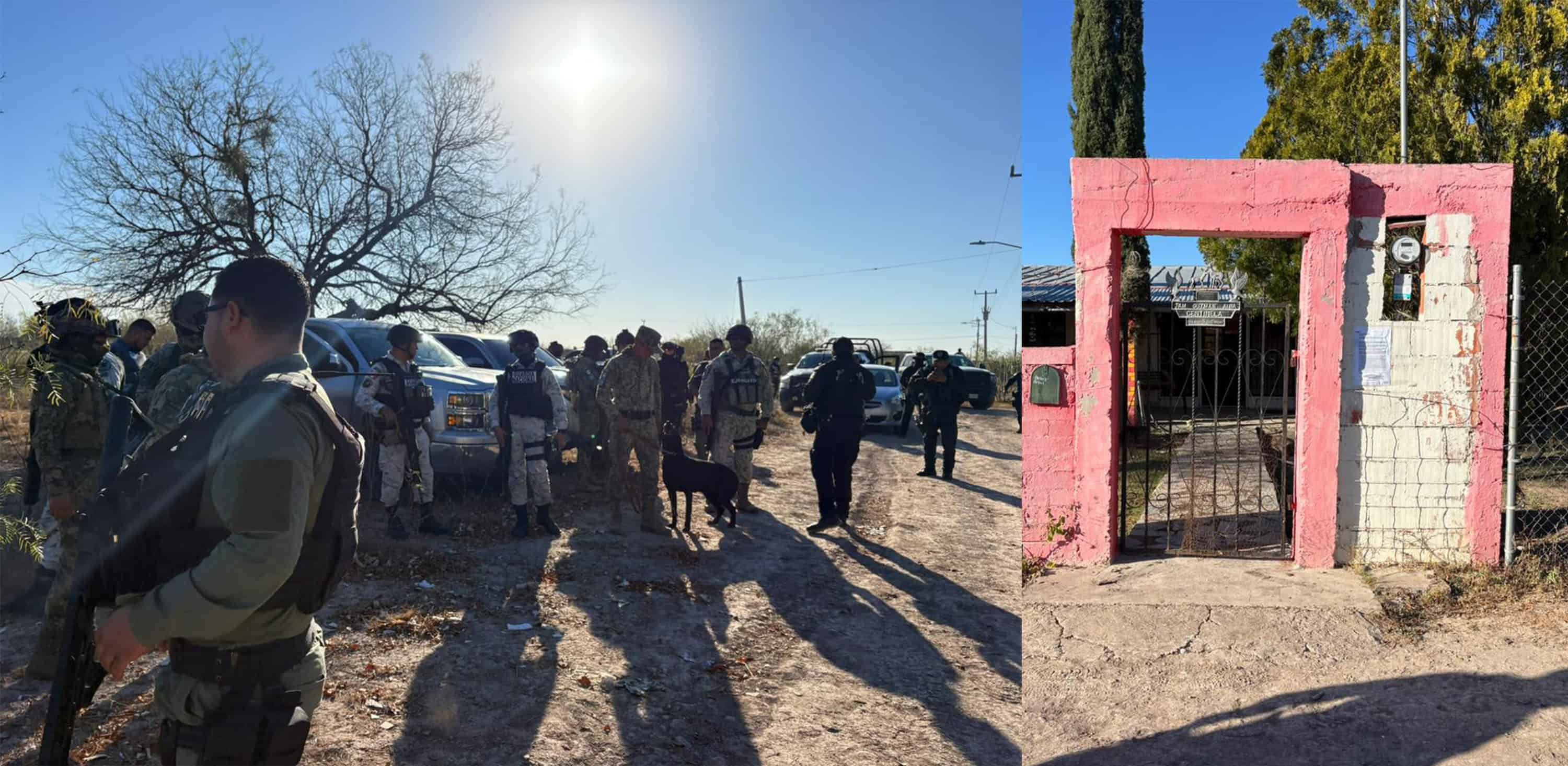 Consignan a la FGR  investigaci&oacute;n por decomiso de marihuana