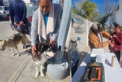 Más de 150 mascotas reciben atención en brigada de salud en Ciudad Acuña