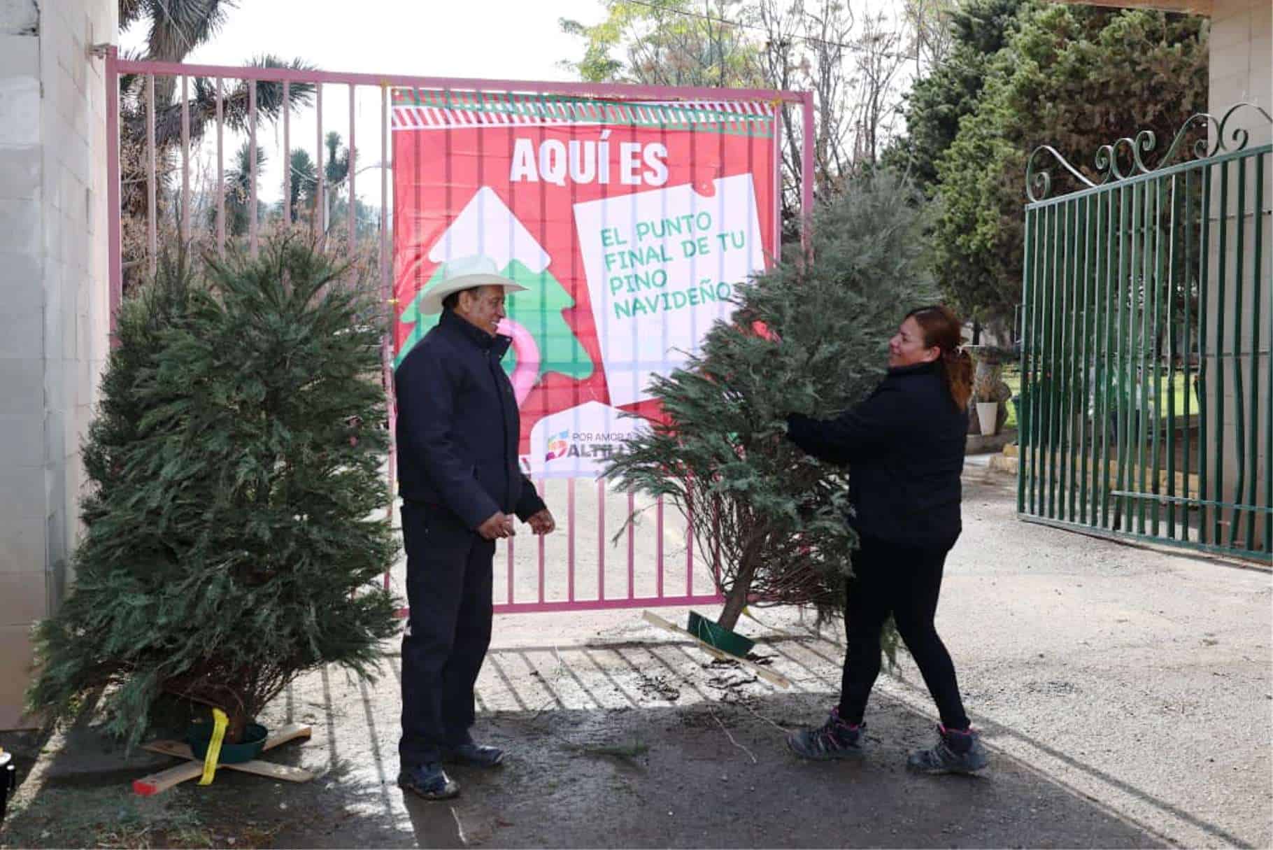 Saltillo promueve reciclaje de pinos navide&ntilde;os