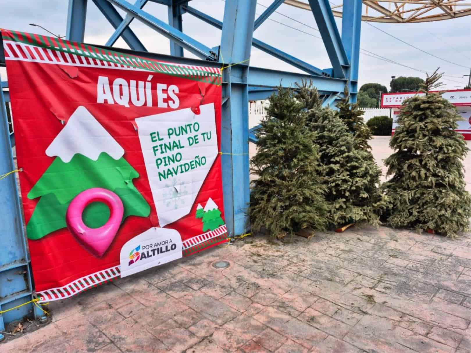 Saltillo promueve reciclaje de pinos navide&ntilde;os