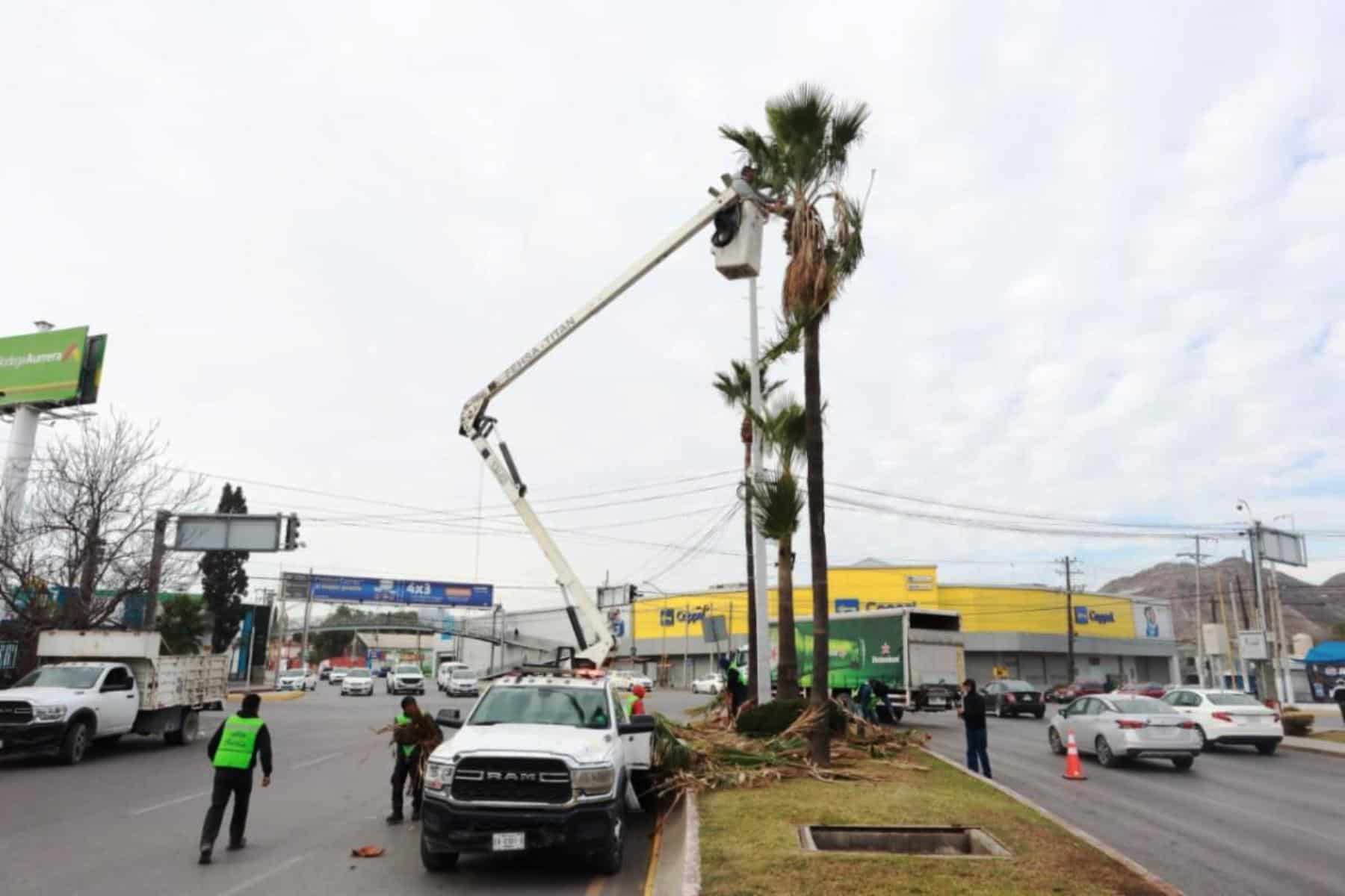 Saltillo mejora su imagen urbana y seguridad con poda y limpieza