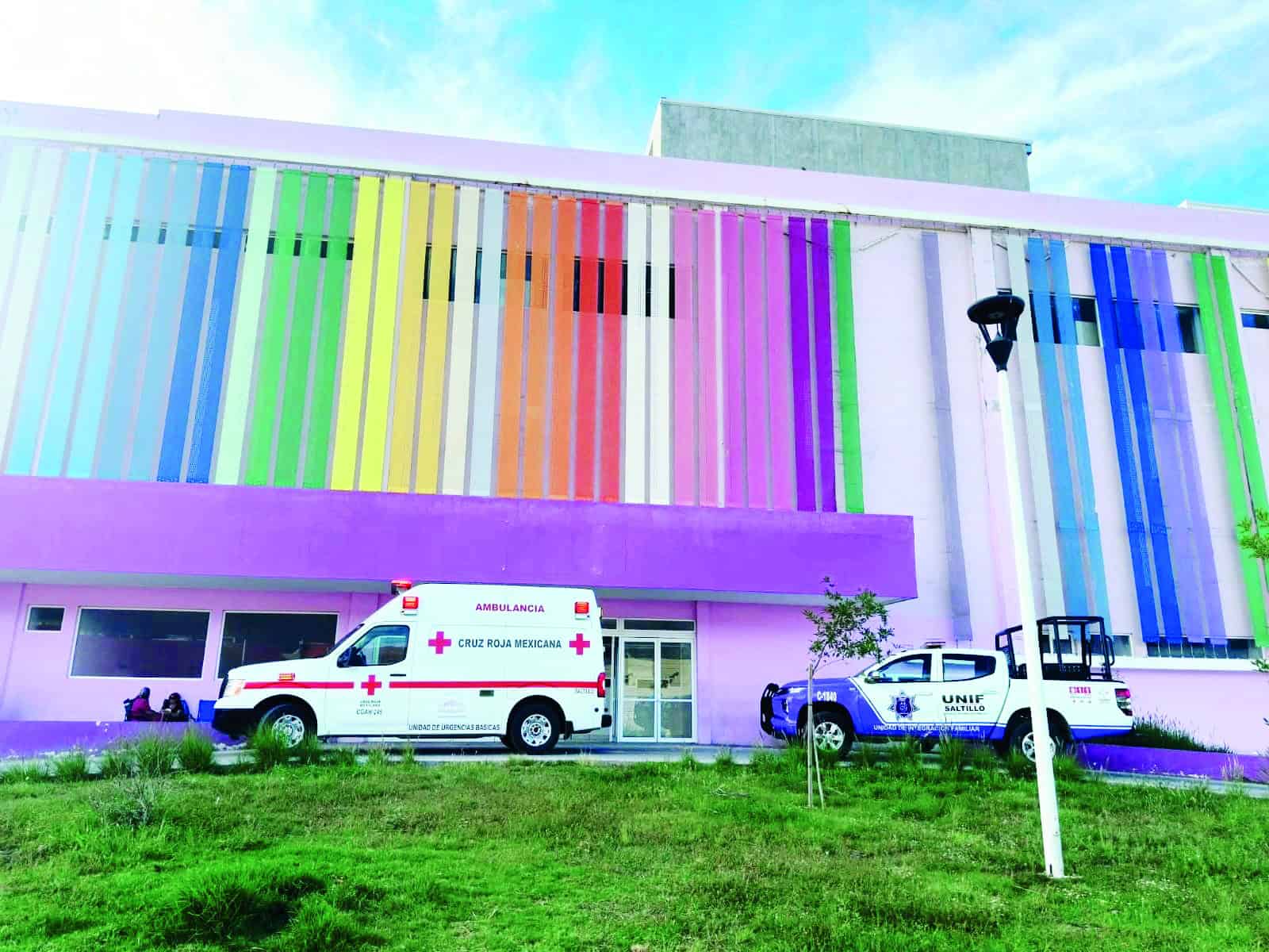 Hermanos mueren por rickettsiosis en Saltillo: tragedia familiar