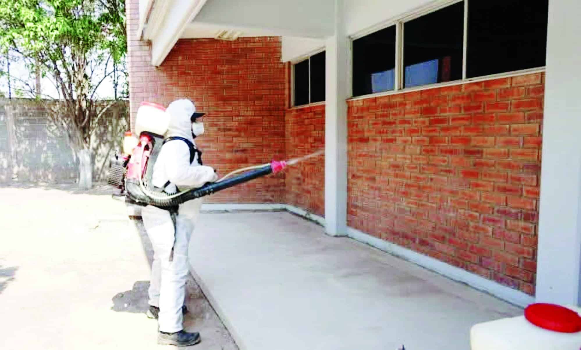 Hermanos mueren por rickettsiosis en Saltillo: tragedia familiar