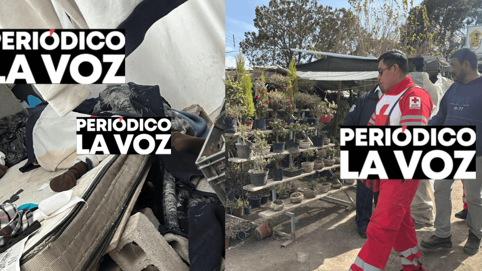 Hallan sin signos vitales encargado de vivero