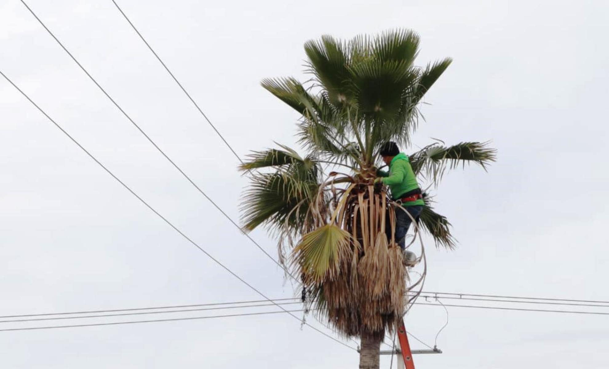 Javier D&iacute;az Gonz&aacute;lez moderniza vialidades en Saltillo con tecnolog&iacute;a de vanguardia