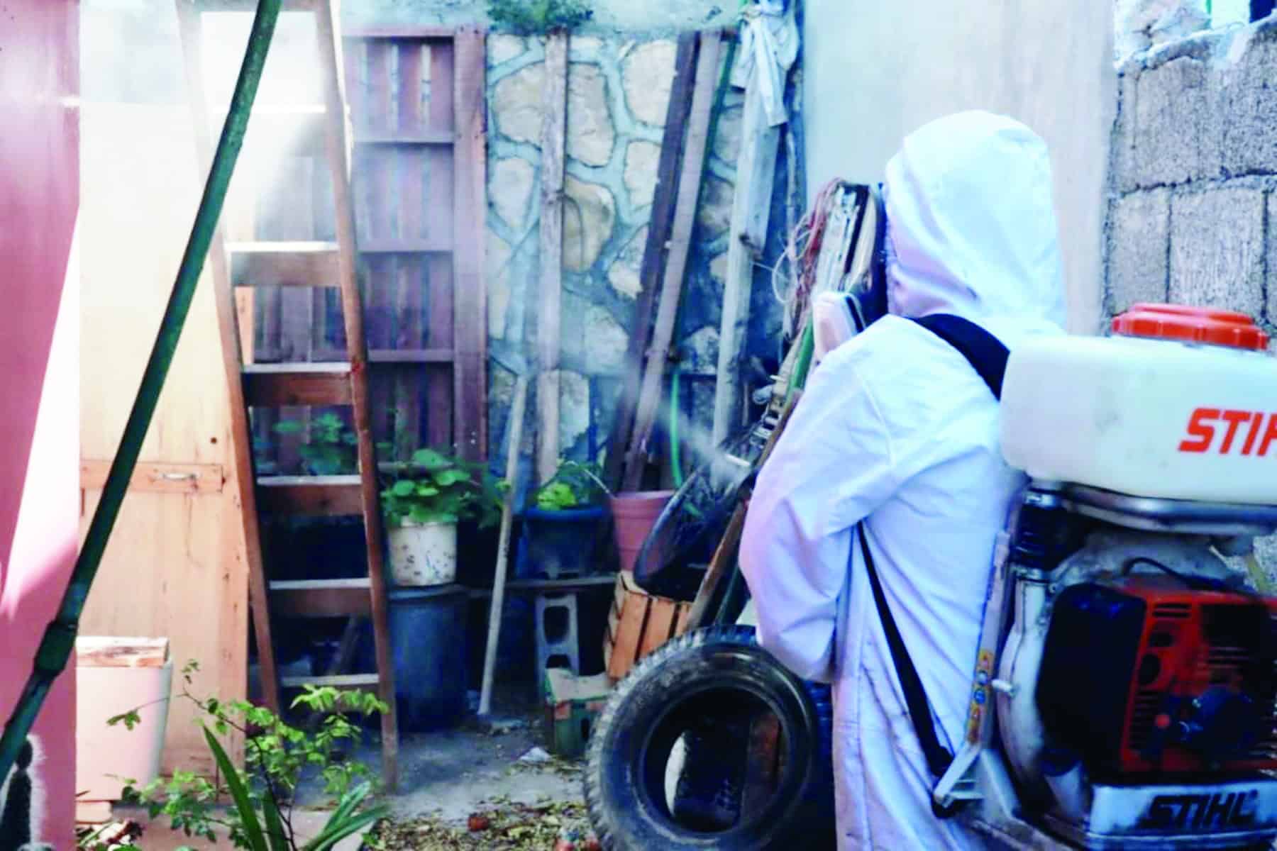 Rickettsia: enfermedad transmitida por garrapatas en Saltillo