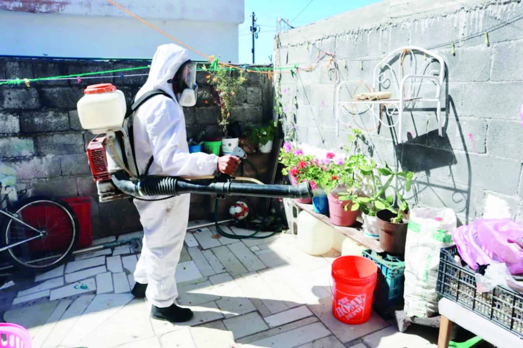 Rickettsia: enfermedad transmitida por garrapatas en Saltillo