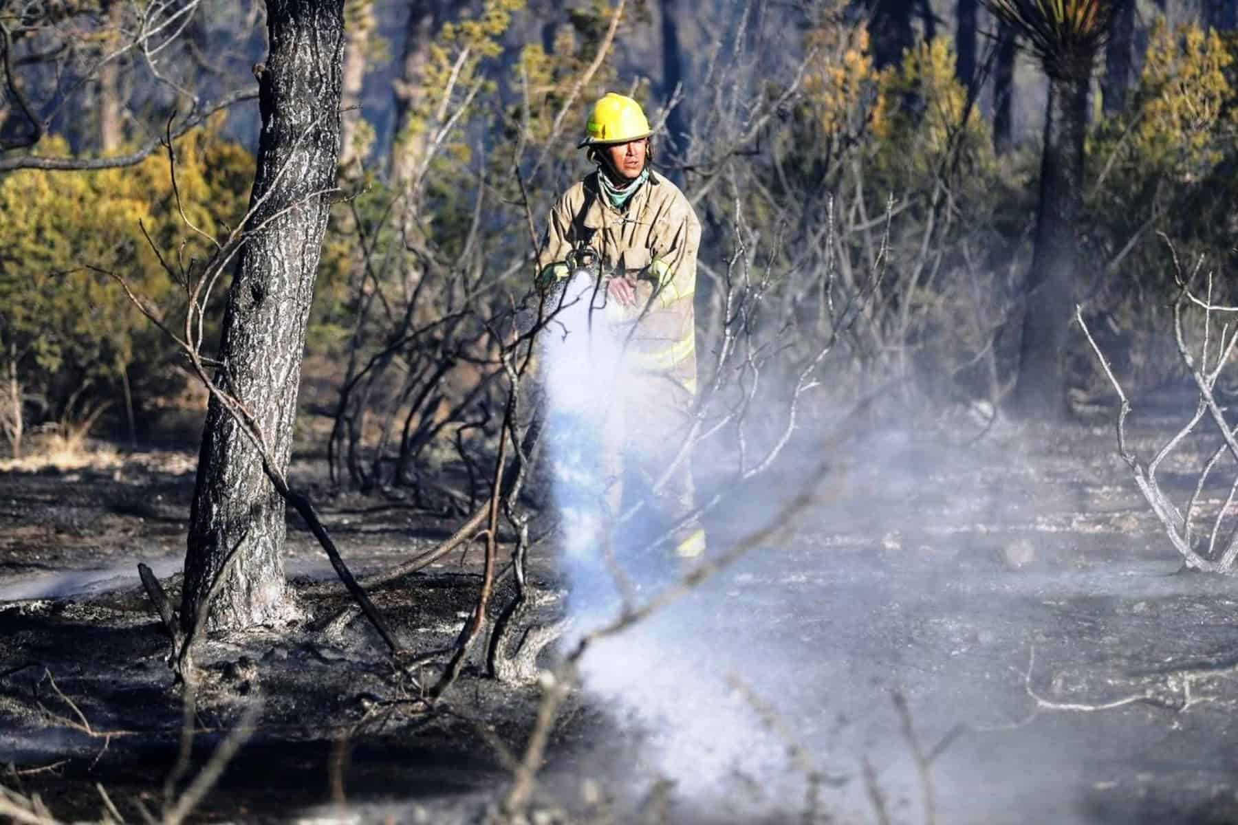 Nuevos brigadistas forestales se unen a la lucha contra incendios en Arteaga, Coahuila