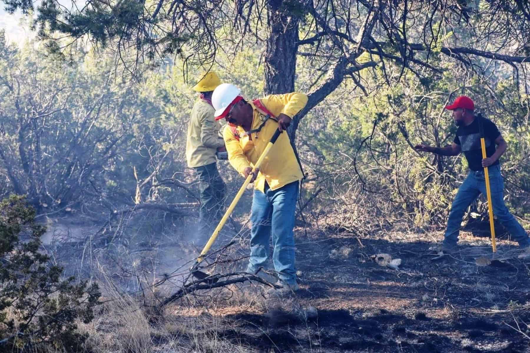 Nuevos brigadistas forestales se unen a la lucha contra incendios en Arteaga, Coahuila