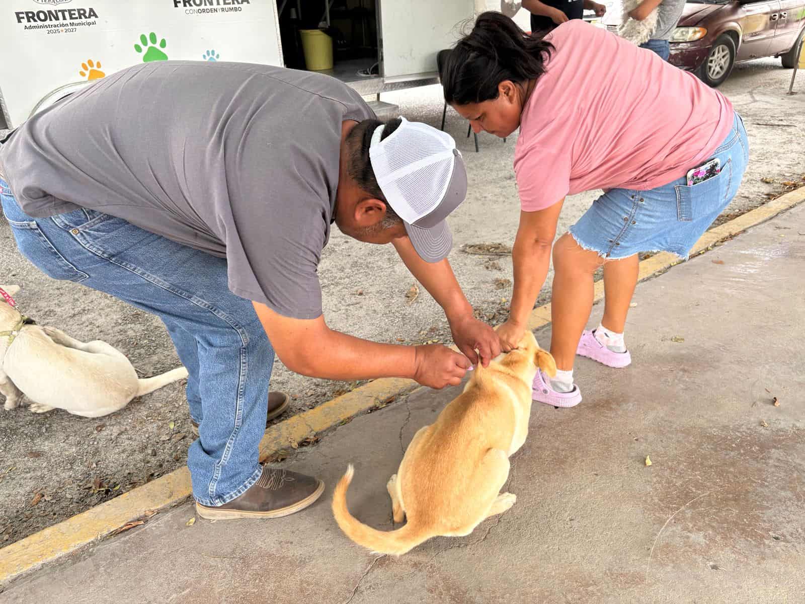 Prevenci&oacute;n de rickettsiosis en Frontera