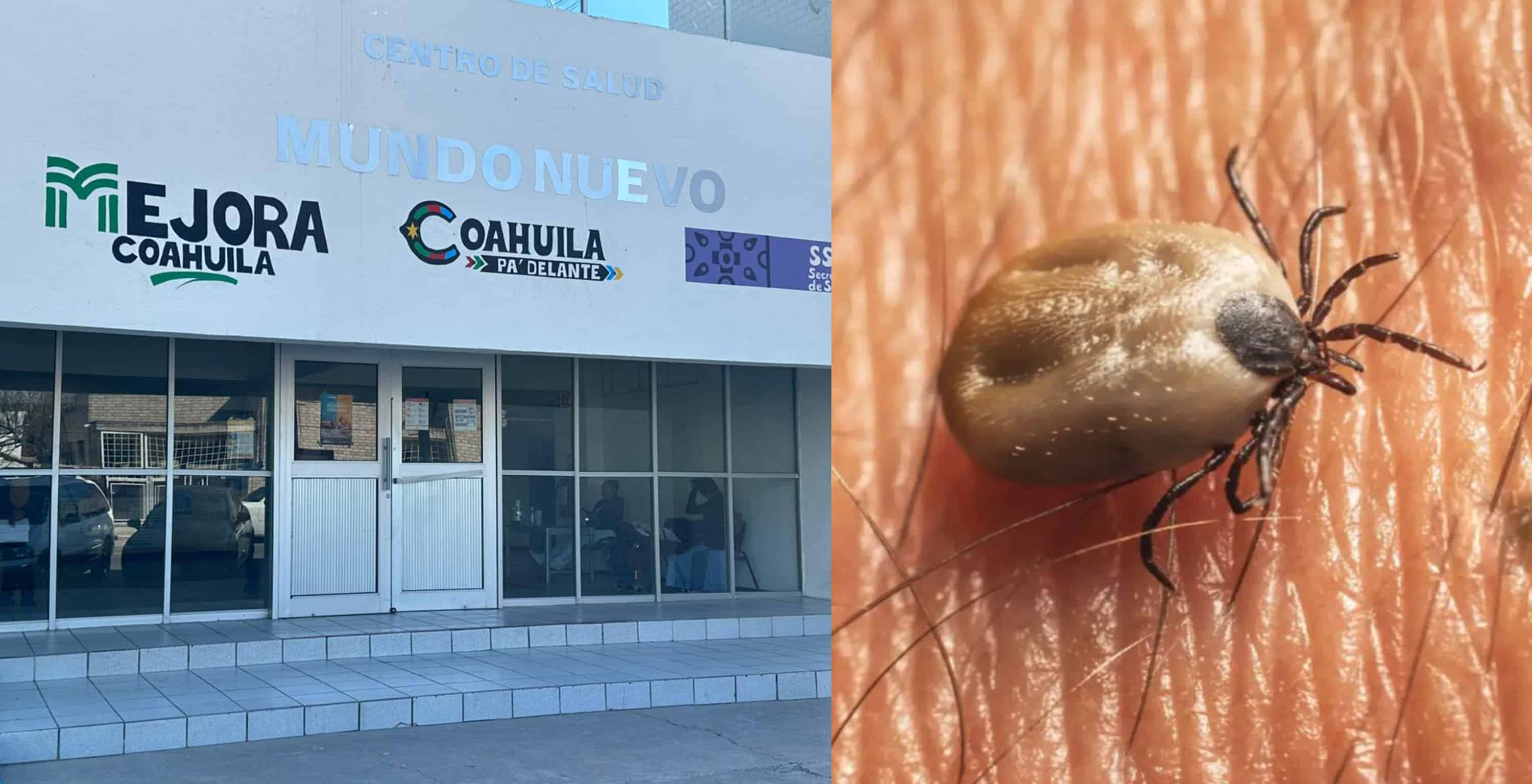 Alerta sanitaria por rickettsiosis en la regi&oacute;n