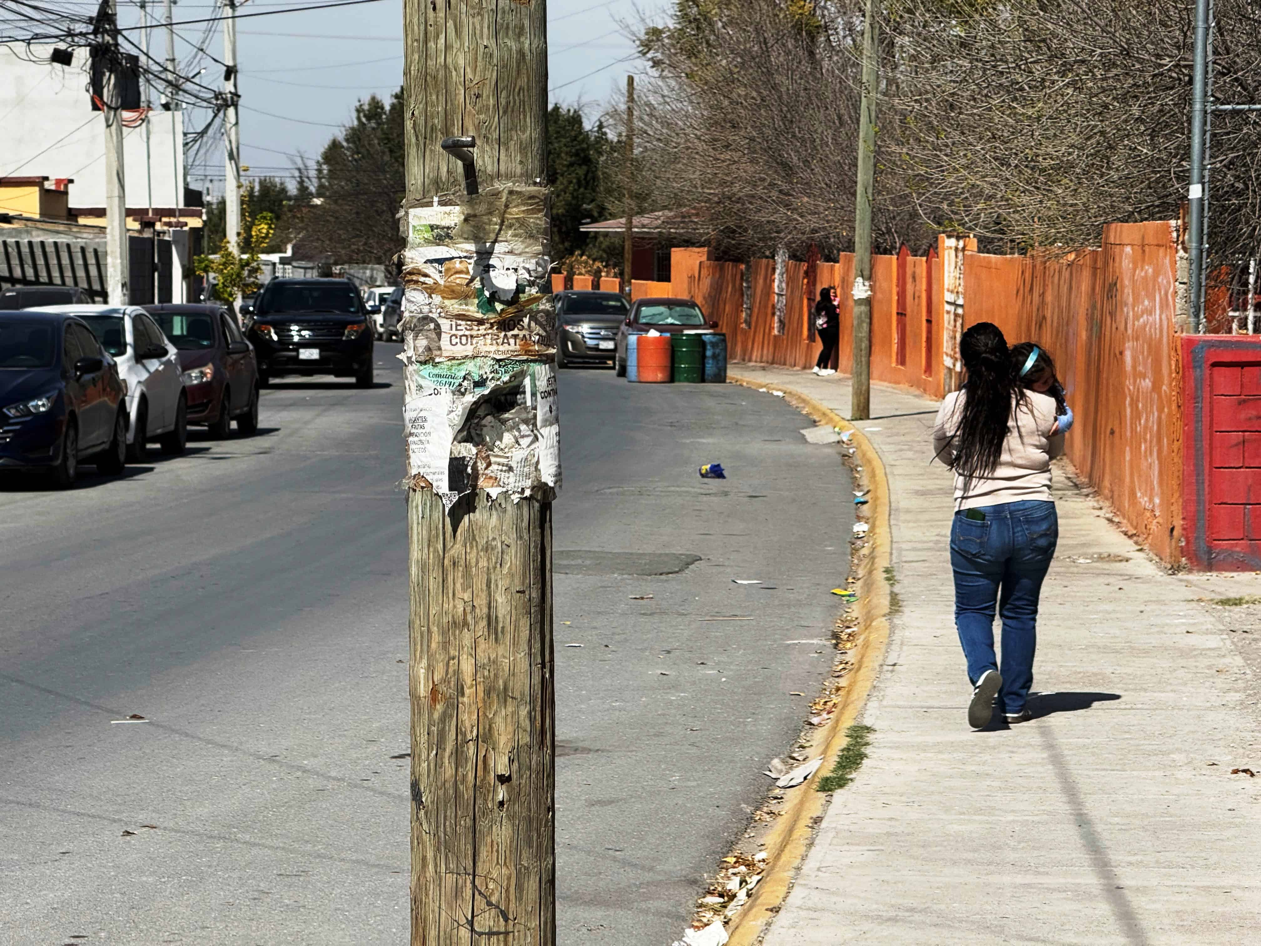 Rickettsiosis en Ramos Arizpe: autoridades investigan contagios en parque