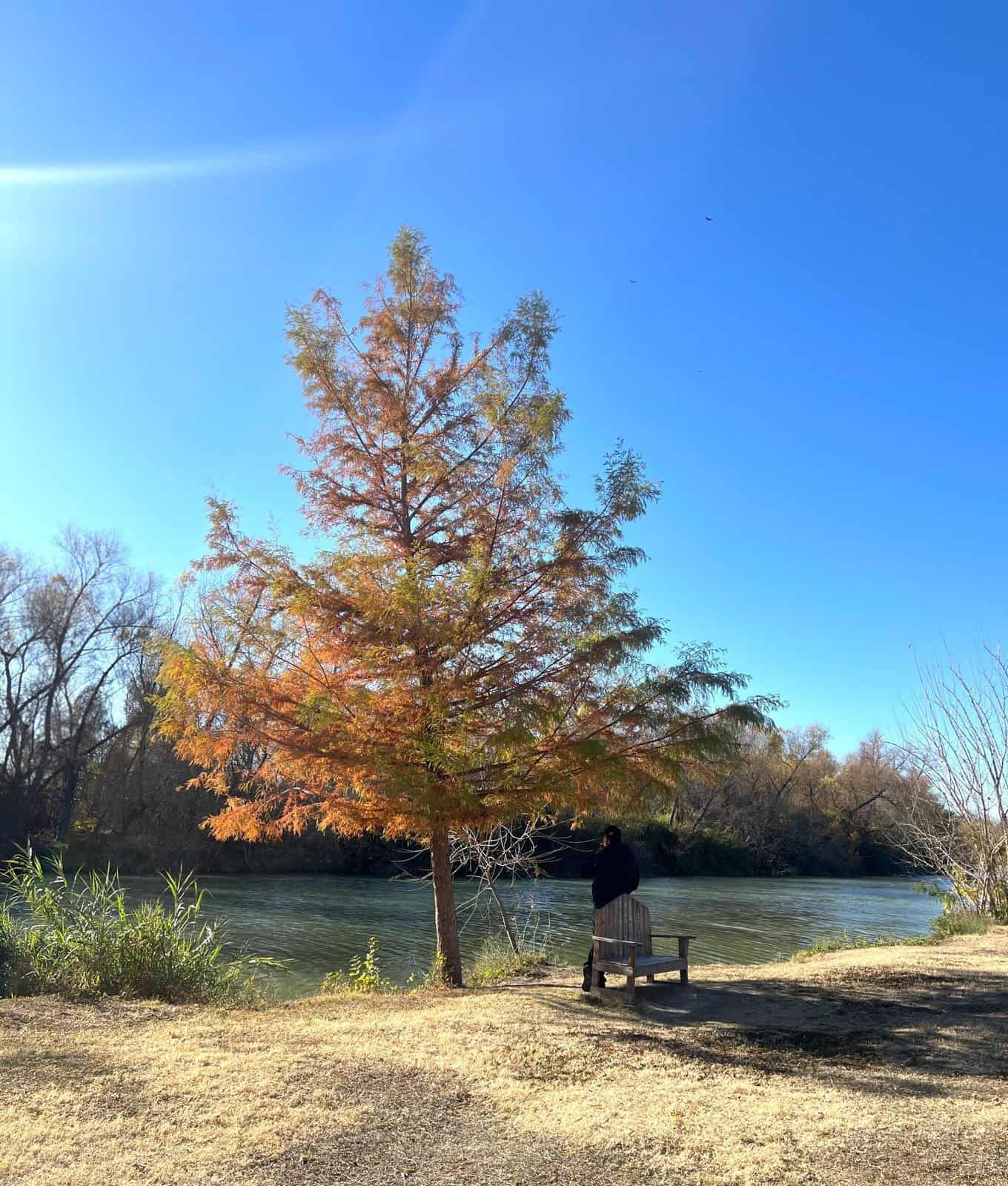 Robo en Club Paseo R&iacute;o Sabinas: denuncian sustracci&oacute;n de cadena de mobiliario