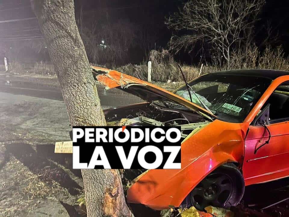 Incrusta jovencito Mustang en &aacute;rbol