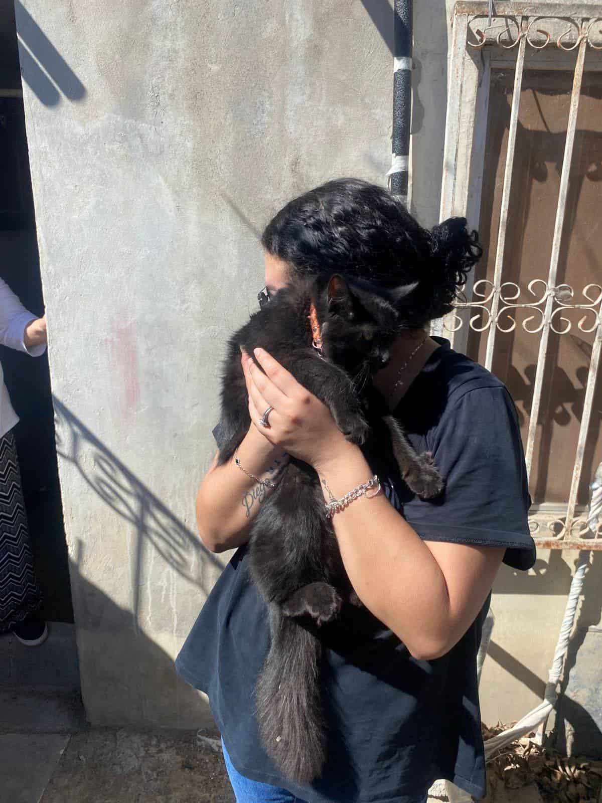 Bomberos rescatan a gato atrapado en &aacute;rbol: Sabinas