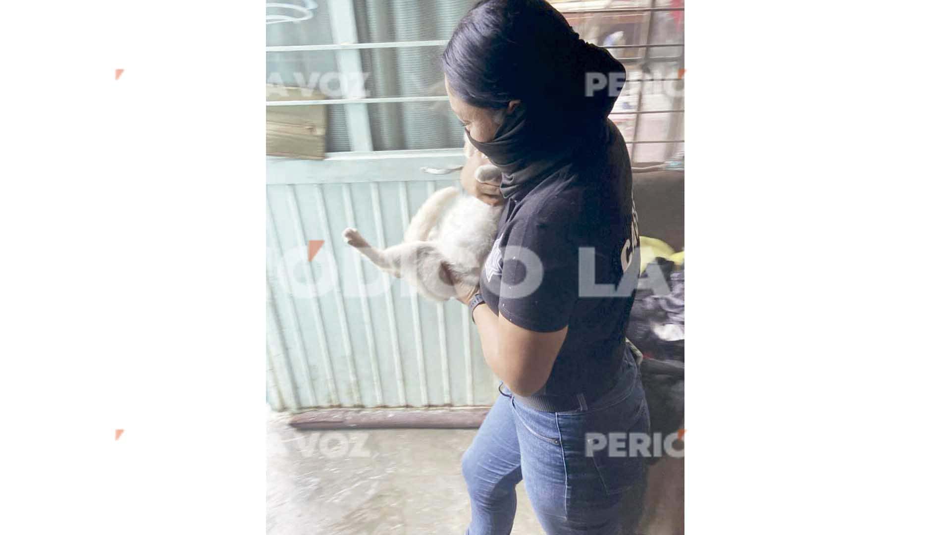 Incendio en vivienda de Monclova genera da&ntilde;os materiales