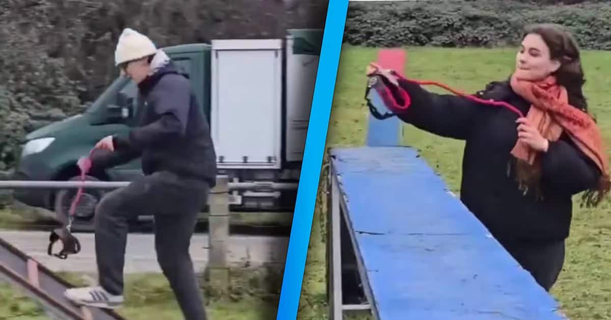 Del "therian" al "dogging": la nueva tendencia alemana que tiene al mundo rasc&aacute;ndose la cabeza