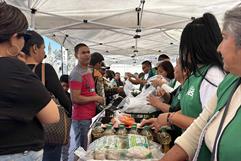 Mercadito en Castaños: productos básicos a bajo costo para familias