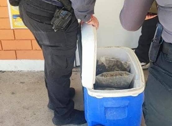 Hallan sustancias ilicitas en el CETis 48 de Saltillo