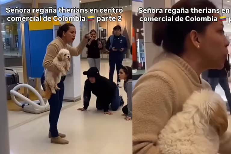 Viral en redes: mujer enfrenta a grupo de "therians" por querer morder a su perro