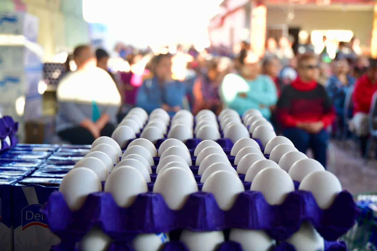 Casta&ntilde;os recibe apoyos del Programa Alimentario 2026