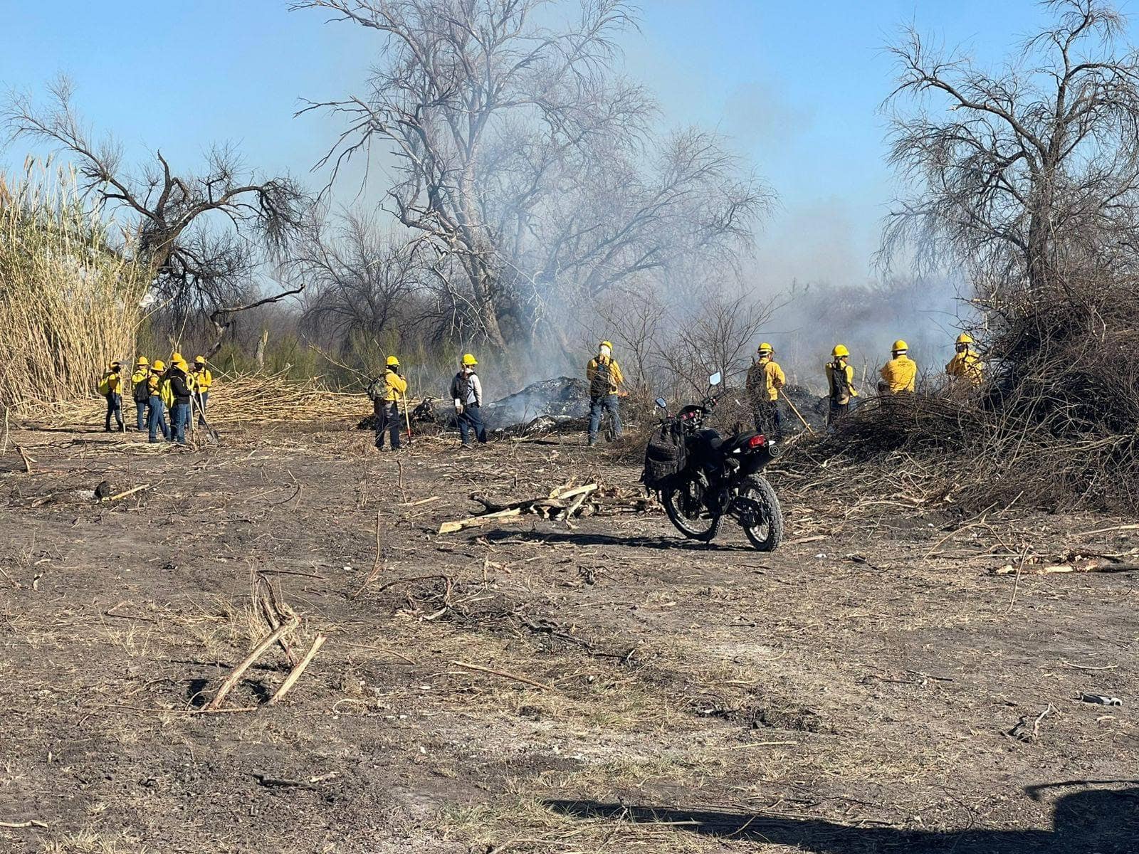 Incendio arrasa carrizales en colonia Infonavit de Zaragoza